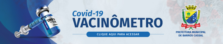 Banner do Vacinmetro